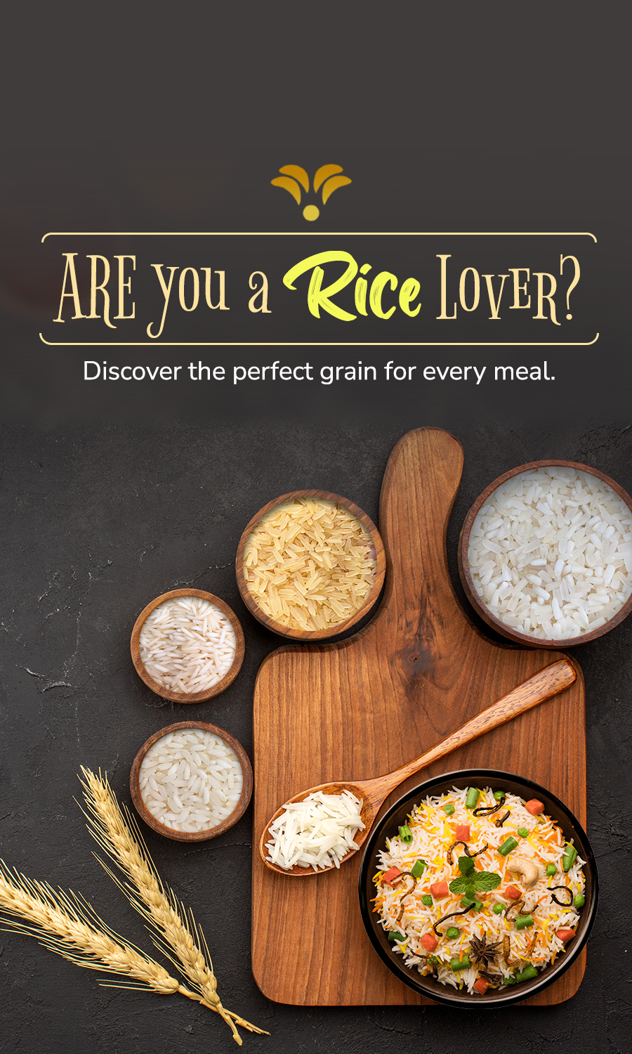 basmati rice suppliers,basmati rice suppliers in delhi