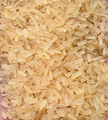 Rice Suppliers, Rice Suppliers in delhi