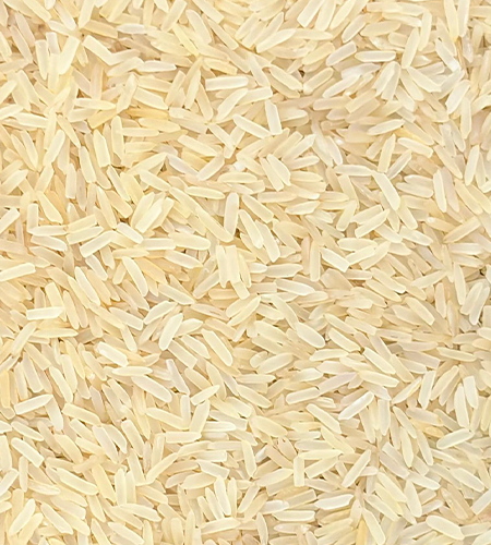 Rice Suppliers, Rice Suppliers in delhi