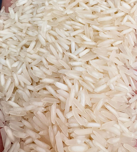 Rice Suppliers, Rice Suppliers in delhi