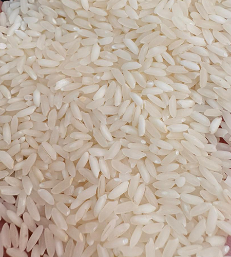 Rice Suppliers, Rice Suppliers in delhi
