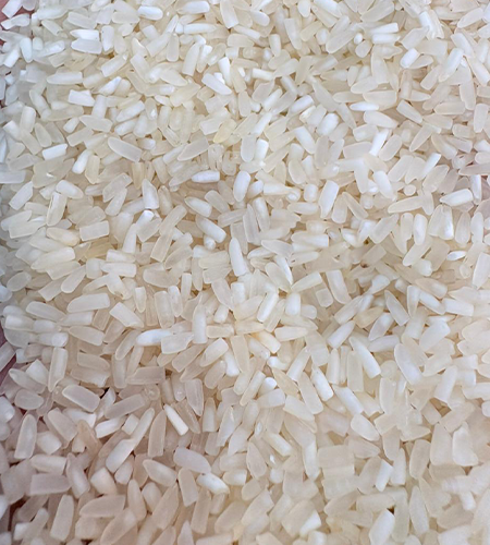 Rice Suppliers, Rice Suppliers in delhi