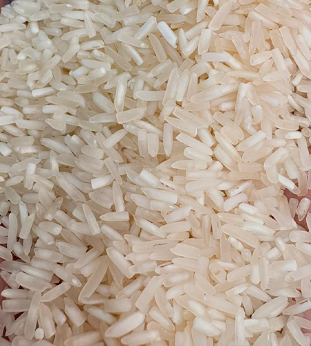 Rice Suppliers, Rice Suppliers in delhi