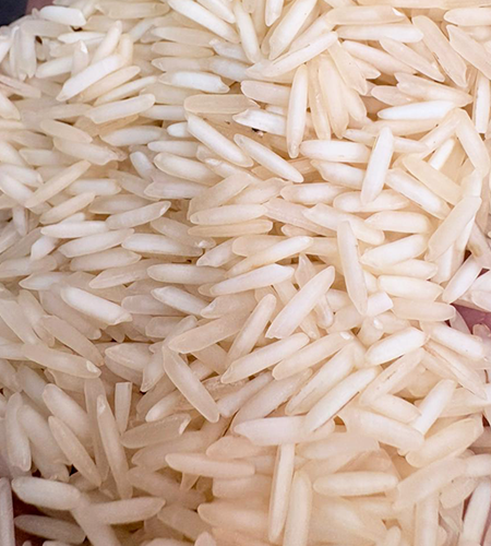 Rice Suppliers, Rice Suppliers in delhi